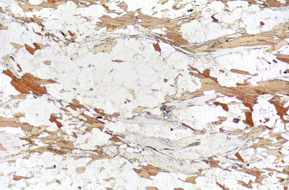 Gneiss à 2 micas (Bas Limousin) LPNA x10